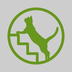 Gezonde celfunctie - antioxidanten