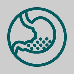 BEVORDERT DE SPIJSVERTERING