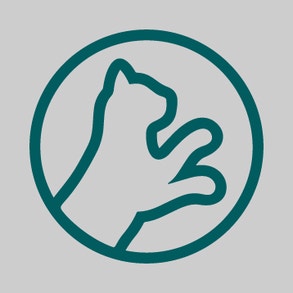 ONDERSTEUNT DE BEWEEGLIJKHEID