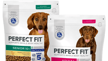 dog product image