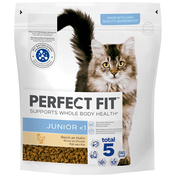 Perfect Fit Kat Droog Junior Kip zak 750g 1x4