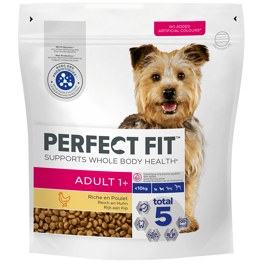 Cesar Frischbeutel 100g 4 Pack Perfekt Fit Dog Trocken 1,4kg Adult 1+ Reich an Huhn